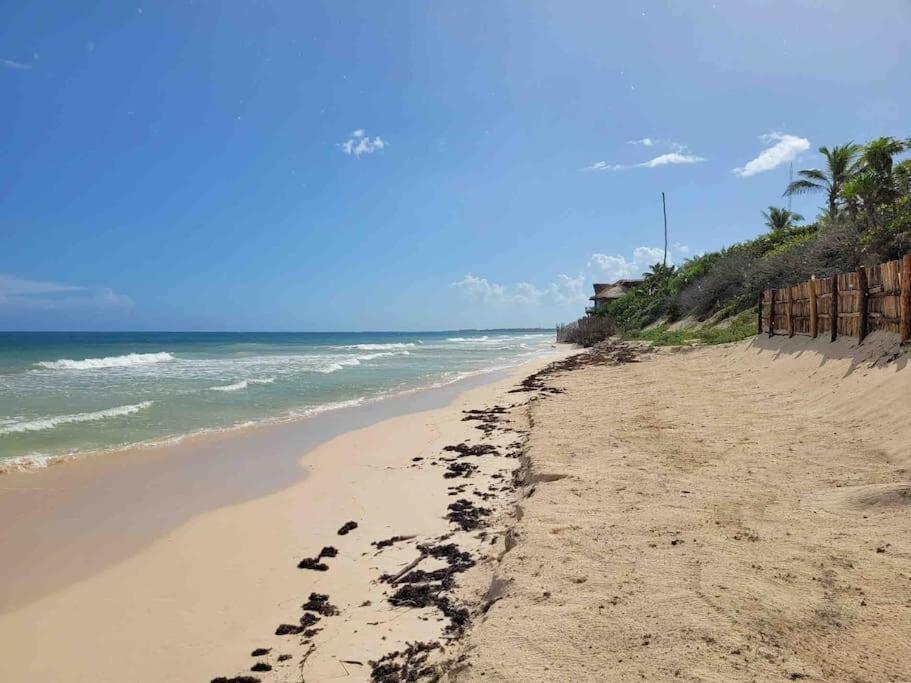 Luxury 5-Br Beachfront Home In Tulum Casa Sofia Gato Kültér fotó