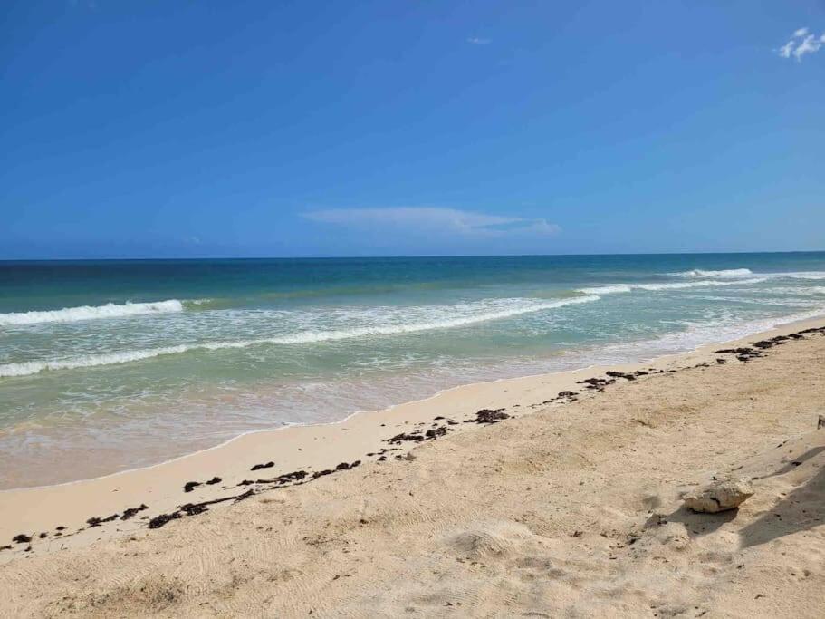 Luxury 5-Br Beachfront Home In Tulum Casa Sofia Gato Kültér fotó