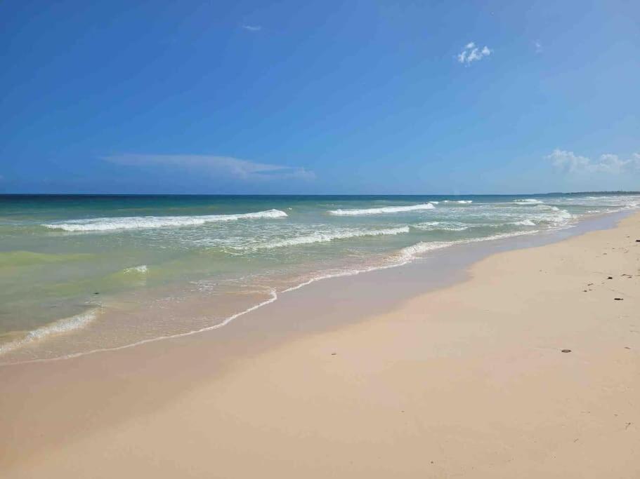 Luxury 5-Br Beachfront Home In Tulum Casa Sofia Gato Kültér fotó