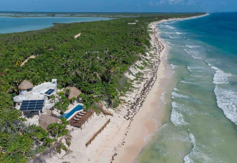 Luxury 5-Br Beachfront Home In Tulum Casa Sofia Gato Kültér fotó