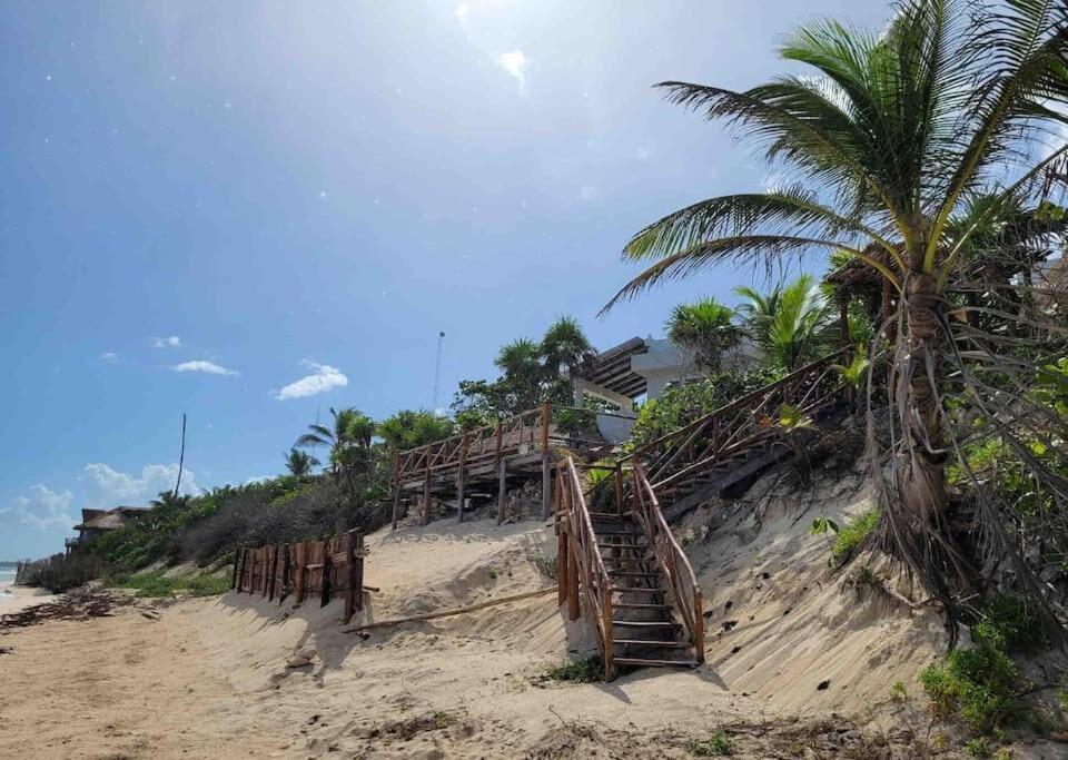Luxury 5-Br Beachfront Home In Tulum Casa Sofia Gato Kültér fotó