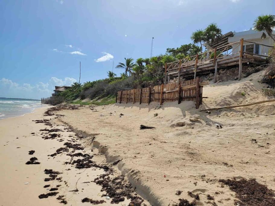 Luxury 5-Br Beachfront Home In Tulum Casa Sofia Gato Kültér fotó
