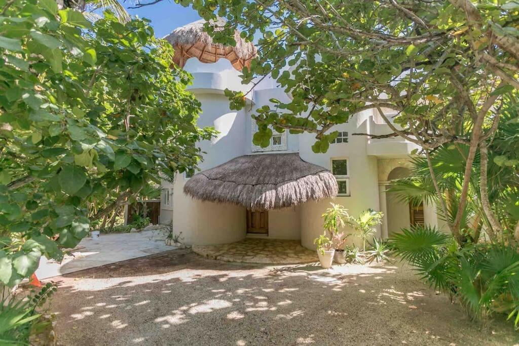 Luxury 5-Br Beachfront Home In Tulum Casa Sofia Gato Kültér fotó